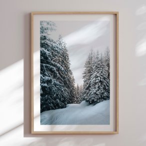 Framed poster - Winter Forest