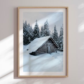 Framed poster - Winter shelter