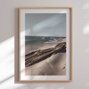 Framed poster - Beach Timber