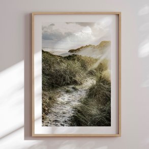 Framed poster - Sea of Silence