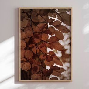 Indramning - Autumn Glow - Christina Sillen