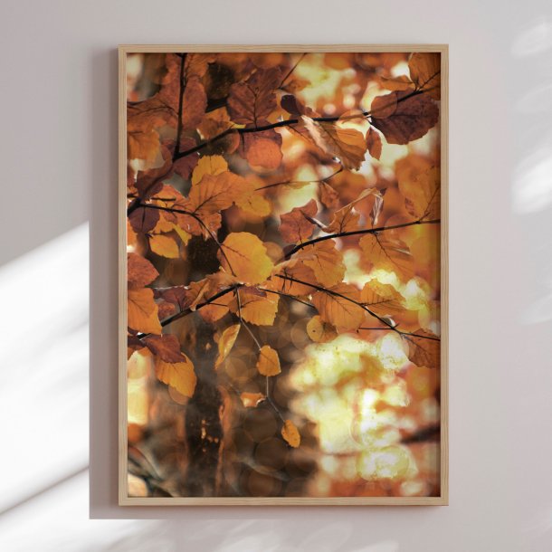 Indramning - Golden Leaves - Christina Sillen