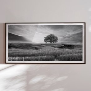 Indramning - Standing Tree