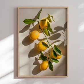 Indramning - Lemon Fresh
