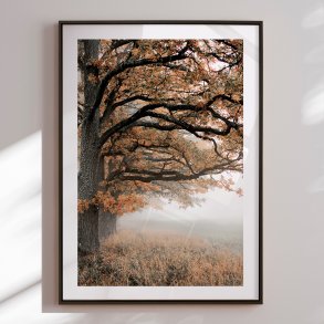 Indramning - Autumn Oaks - Christina Sillen