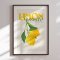 Indramning - Limon Di Sorrento - Jenny Liz Rome