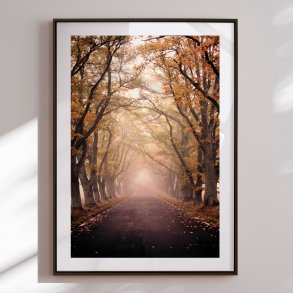 Indramning - Misty Autumn Road - Christina Sillen