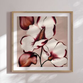 Indramning - Elegant Maroon Blooms - Alma