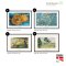 Koncept - Indramninger - Art of Summer - Vlg 6 stk.