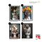 Concept - Framed posters - Happy Animals - Choose 6 pcs.