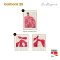 Concept - Framed posters - Sara Korsgaard - Choose 6 pcs.