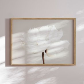 Framed poster - White Bloom Serenity - 1x Studio II