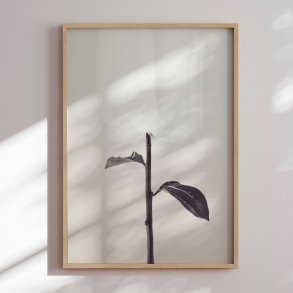 Framed poster - Whispered Elegance - 1x Studio II