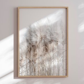 Framed poster - Pampas Grass II - Magda Izzard