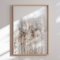 Framed poster - Pampas Grass II - Magda Izzard