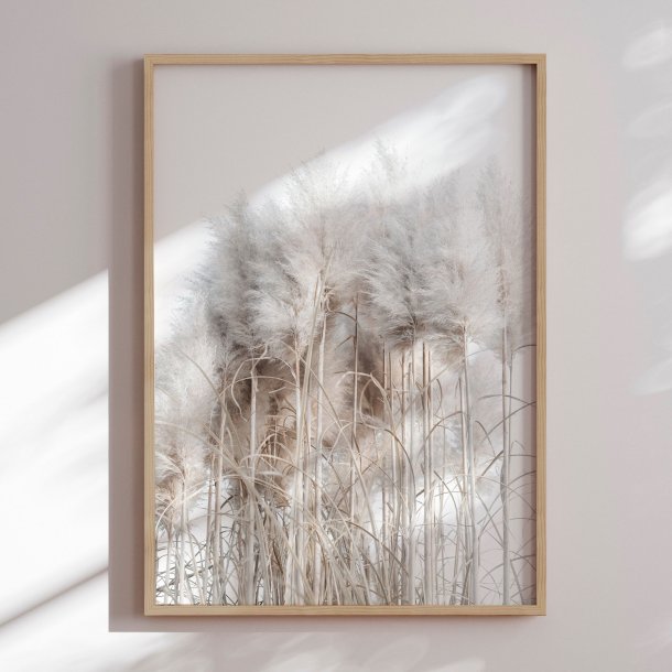 Framed poster - Pampas Grass II - Magda Izzard