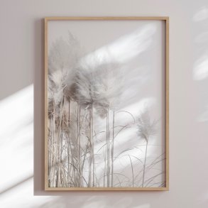Framed poster - Pampas Grass - Magda Izzard