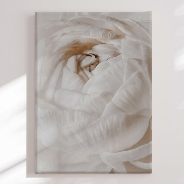 Canvas - Buttercup - Magda Izzard