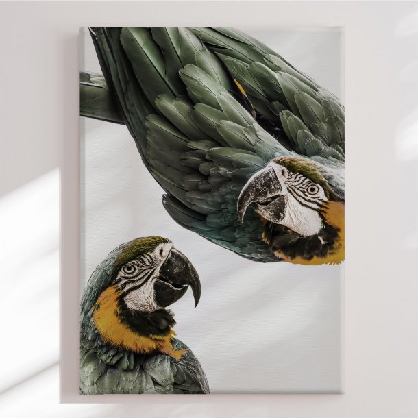 L�rredstryk - Vibrant Parrot Duo - Treechild