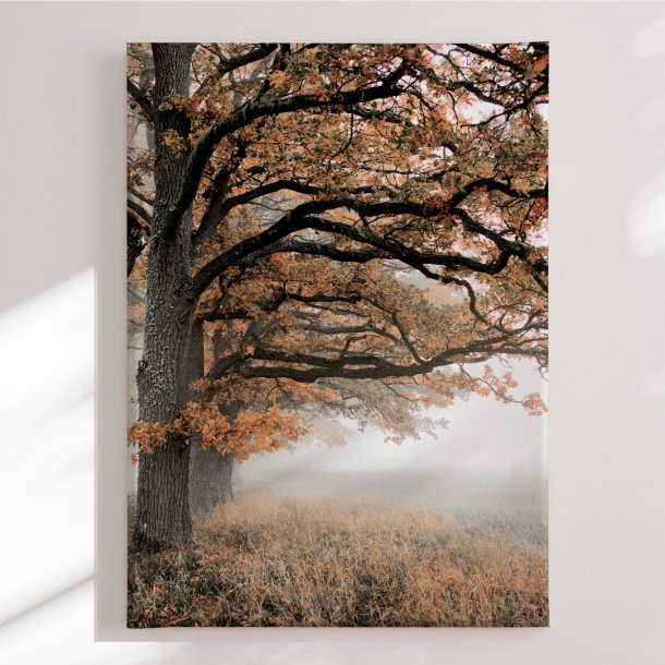 L�rredstryk - Autumn Oaks - Christina Sillen