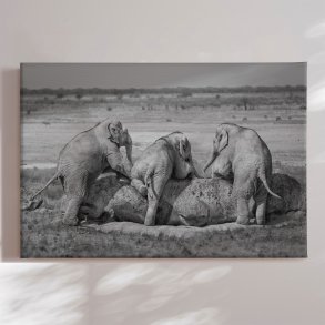 Canvas - Three Guys - Marcel Egger