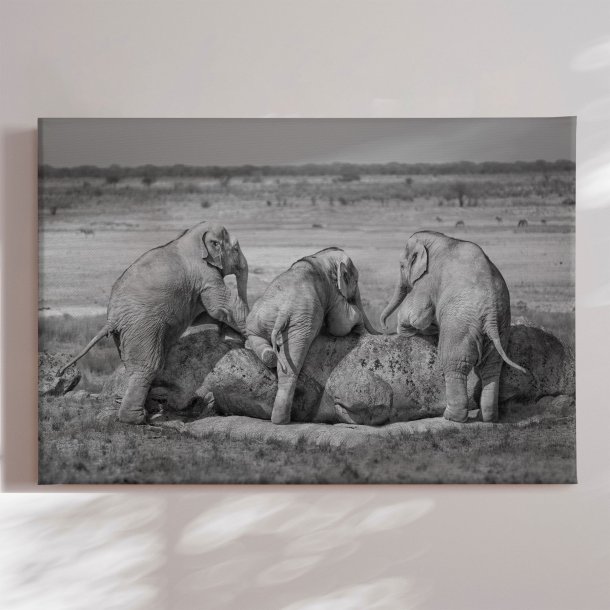 Canvas - Three Guys - Marcel Egger