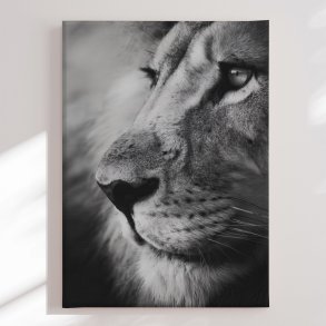 Canvas - Old Lion - Treechild