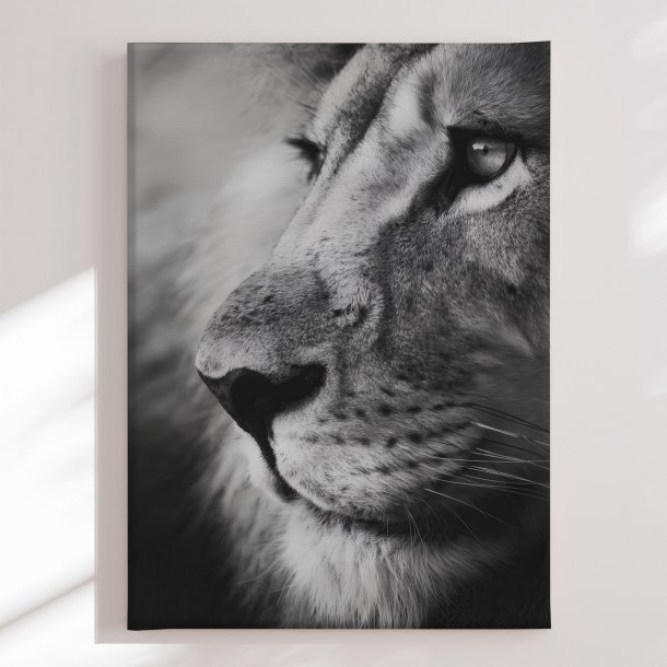 Canvas - Old Lion - Treechild