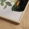 Luxury framed art - Plant - Cartissi