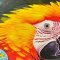 Handmade panting with frame - Parrot I - Mixed media