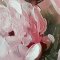H�ndlavet maleri med ramme - Roses - Mixed media