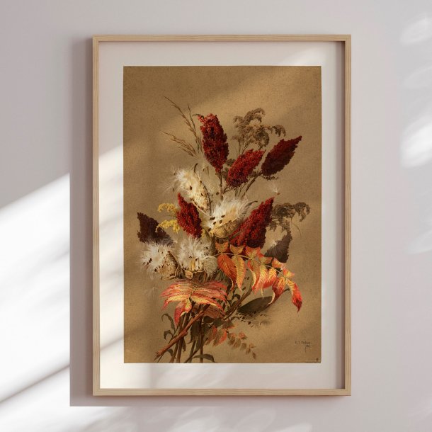 Indramning - Sumac and Milkweed - Ellen Thayer Fisher