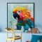 Handmade panting in frame - Parrot II