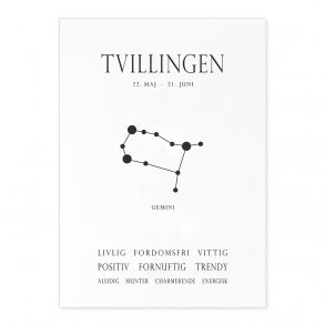 Tvillingen