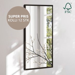 Aflangt spejl med smal sort trramme - Black Oak