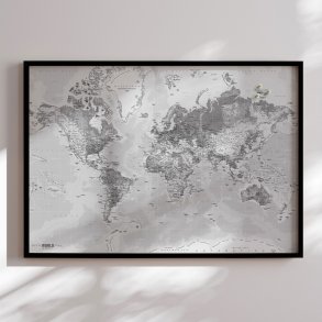 Pin Board - World Map - Light